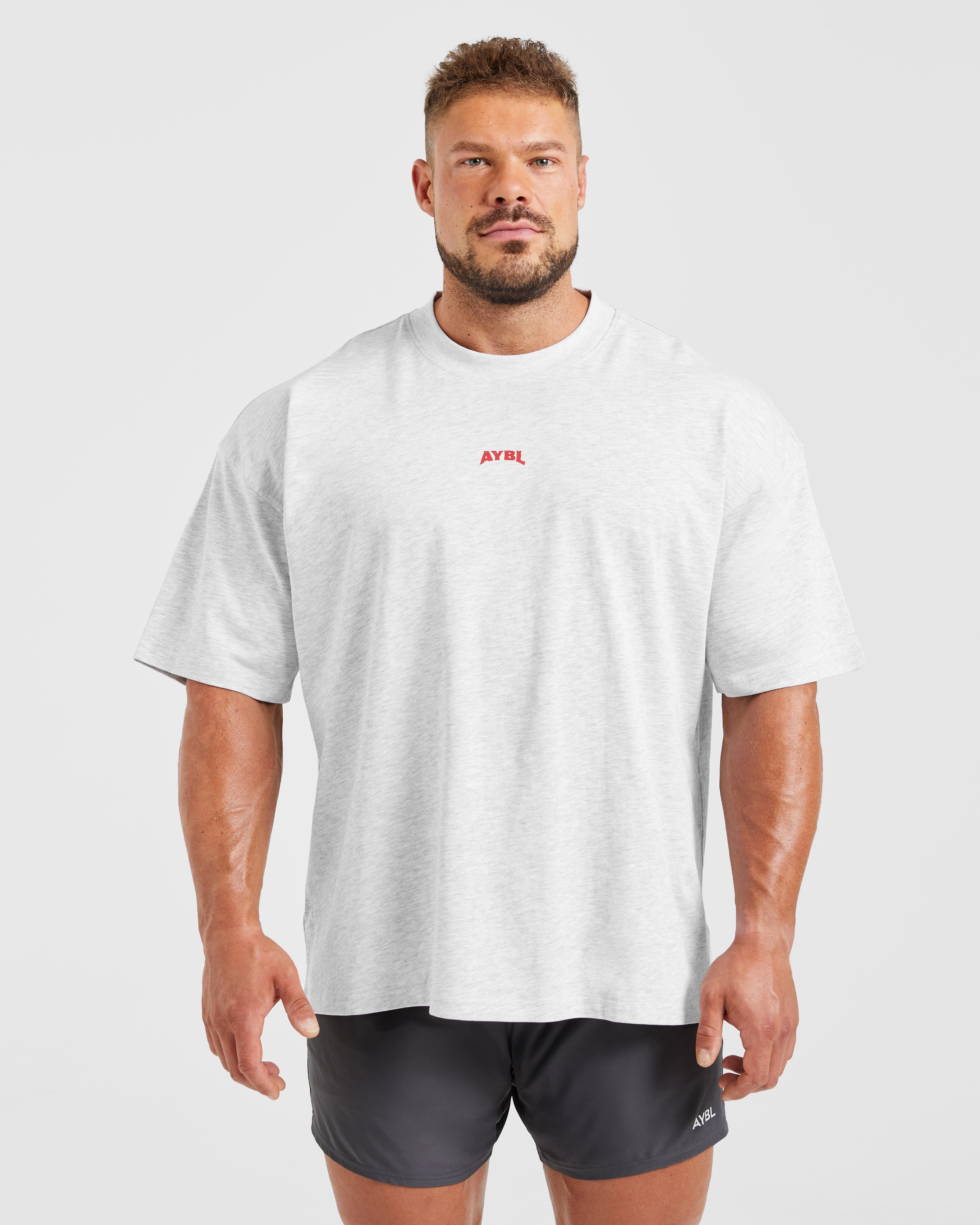 Wesley Vissers X Beyond Limits Oversized T Shirt - Grau Marl
