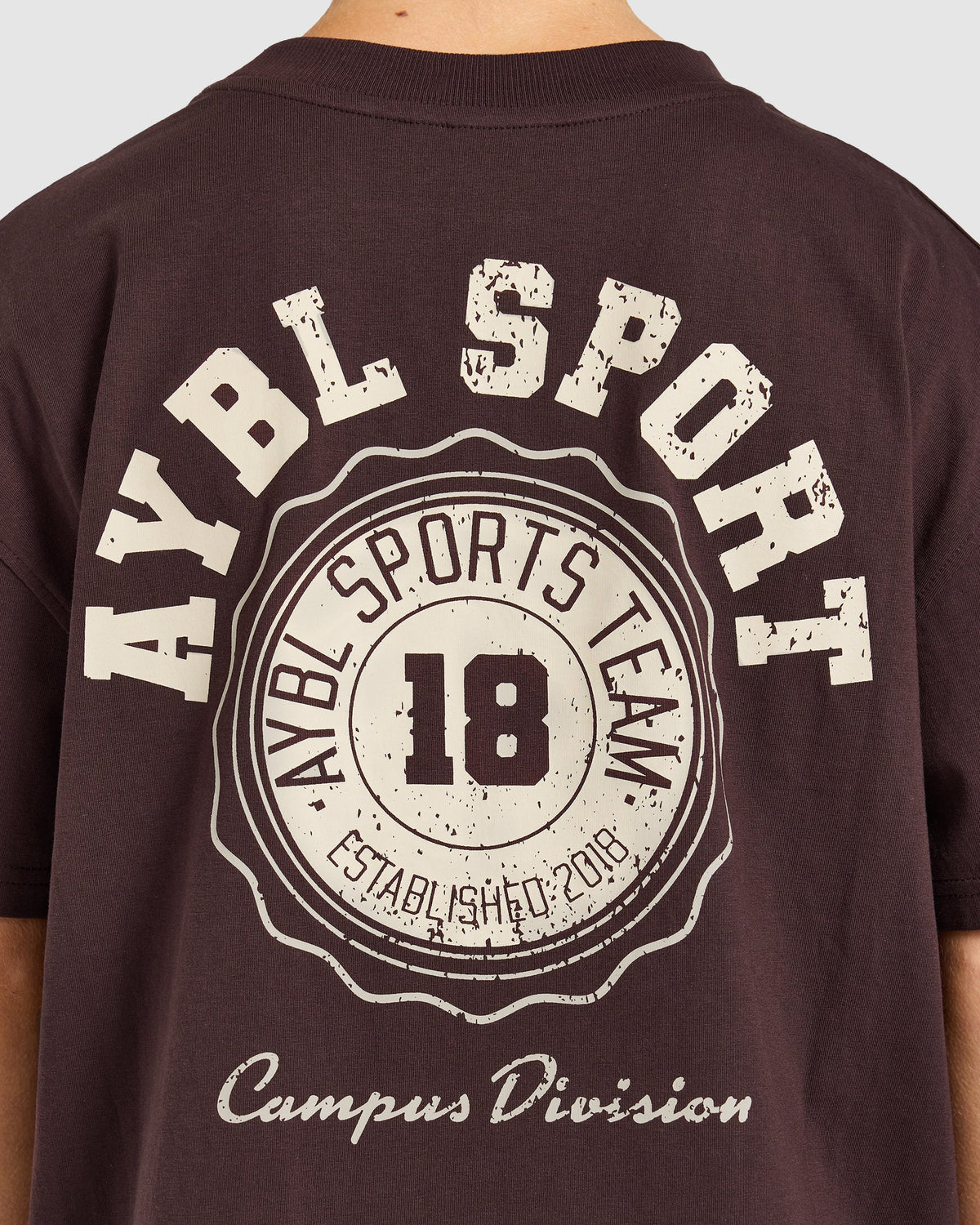 AYBL Campus Division Oversized T Shirt - Cocoa Braun
