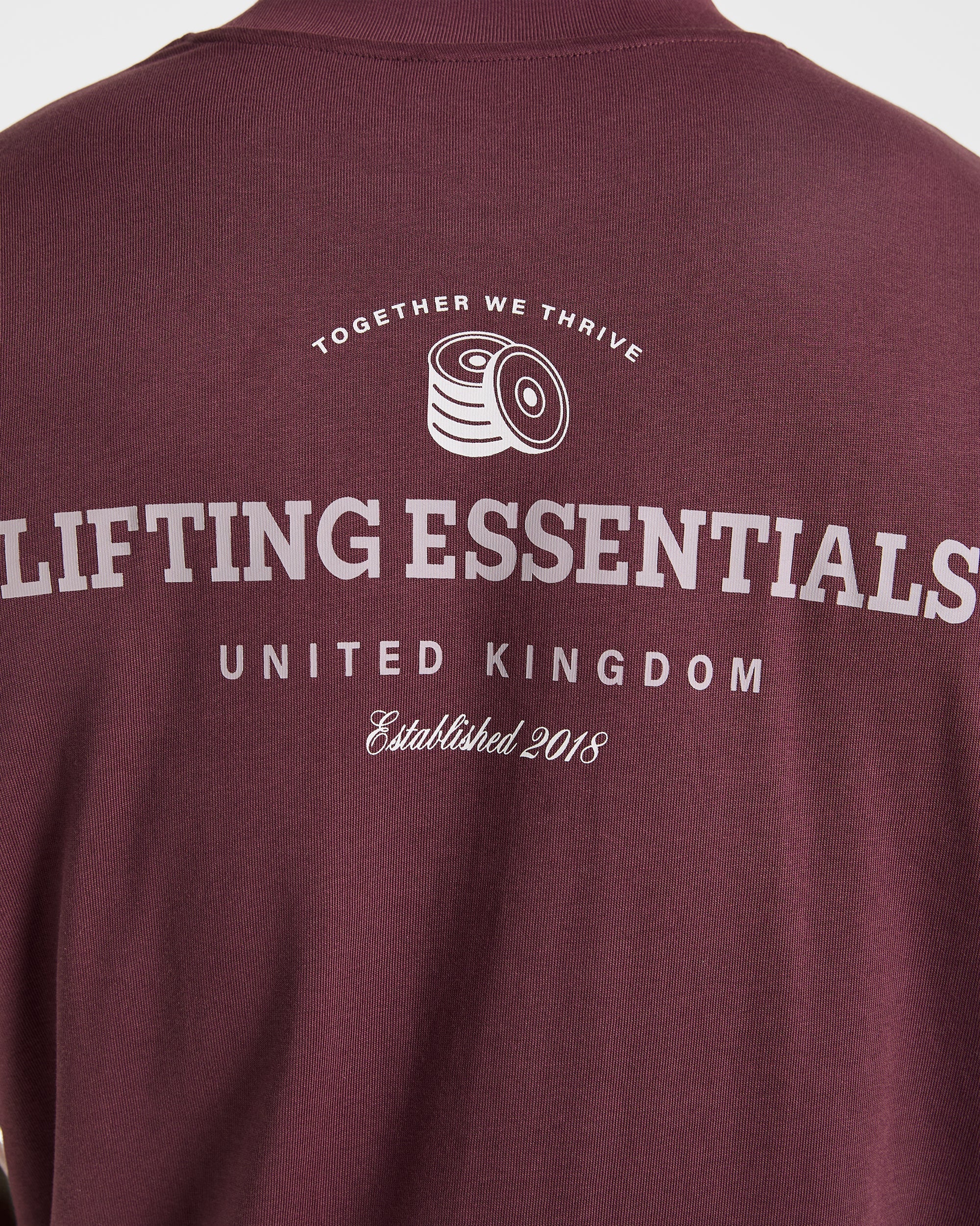Apex Lifting Essentials Oversized T Shirt - Plum