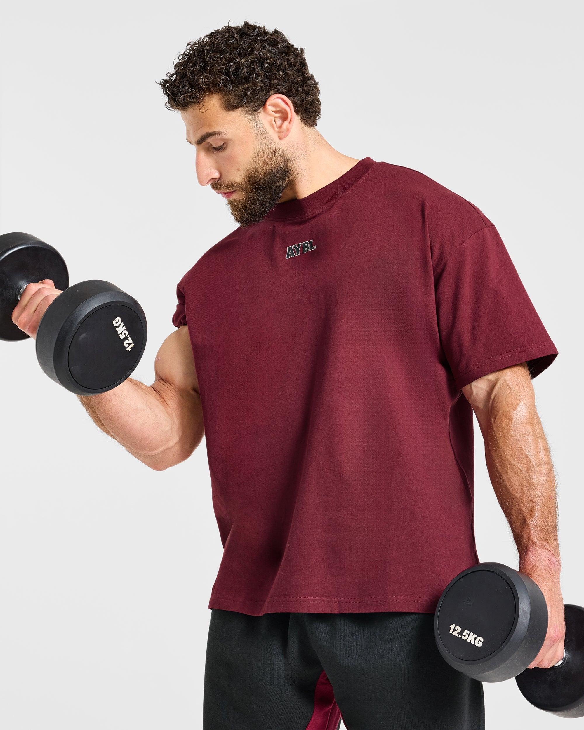 Wesley Vissers x AYBL Dutch Oak Oversized T Shirt - Port Rot